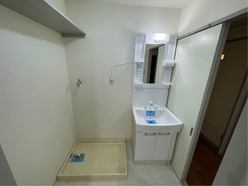 メゾン大西 洗面