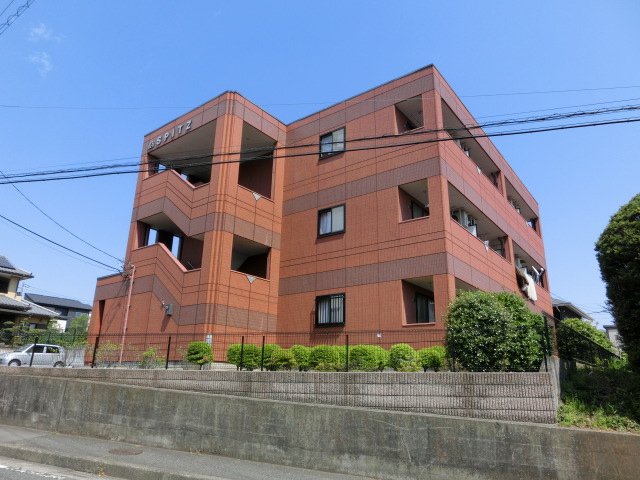 スピッツの外観画像