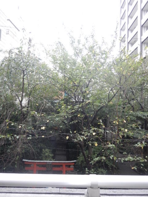 グランド・ガーラ銀座2階 展望