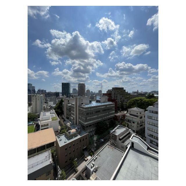 メゾン・ド・ヴィレ麻布台1405号室 部屋その他