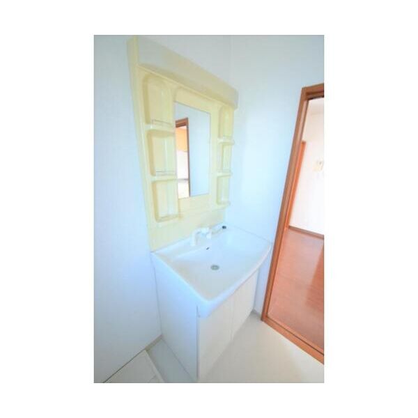 ウイングピア美園306号室 洗面