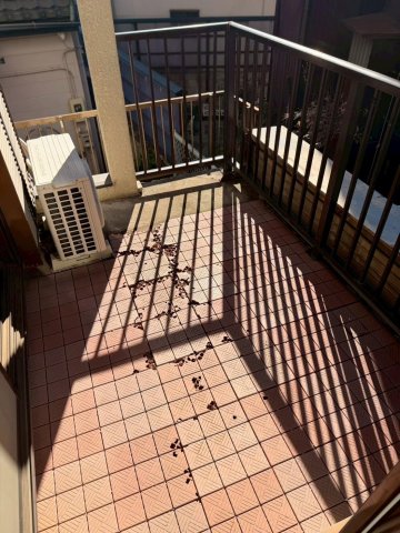 富士見市羽沢戸建て 1階の2面採光のベランダ、BBQや夏場には子供用プールも！