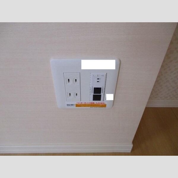 フェリシアス鴨川202号室 インターネット対応(D.U-NET)　Wi-Fi