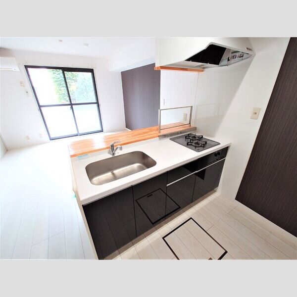 ブルーフォックス102号室 システムキッチン