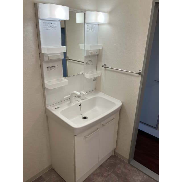 サニーレジデンス平塚Ⅰ203号室 洗面化粧台