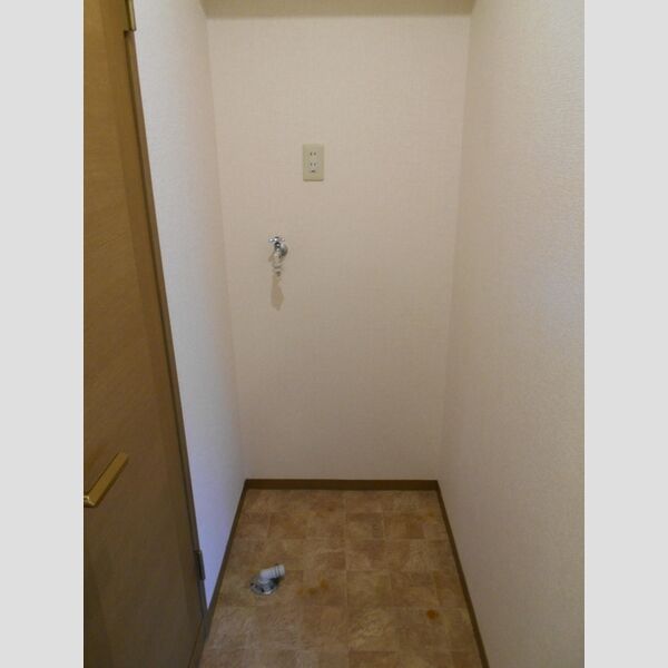 サウスメゾン　B101号室 室内洗濯機置き場