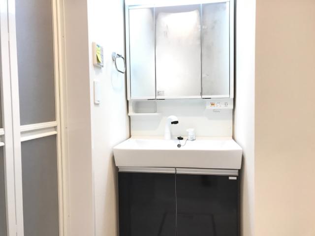 メゾン　ド　マロン101号室 洗面
