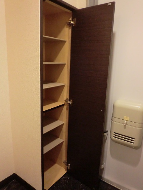 レオネクストセルクル105号室 シューズボックス