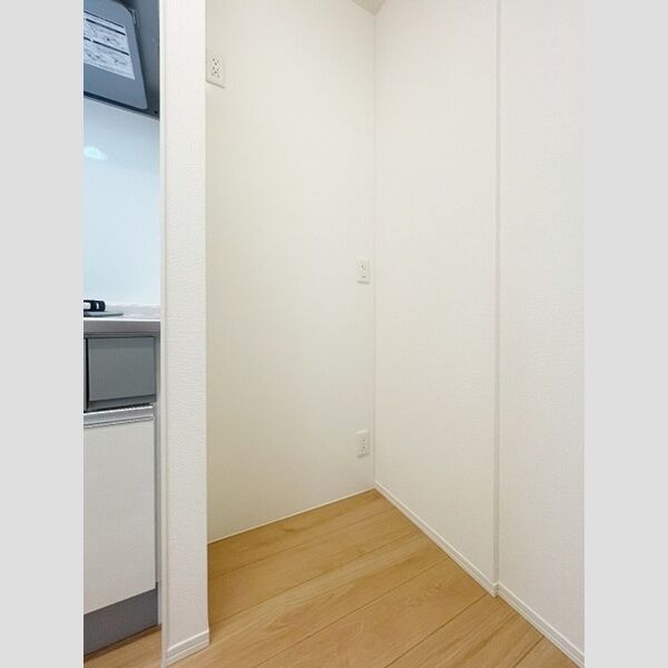 ラリュール江戸川Ⅰ101号室 洗濯機置場