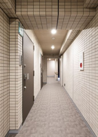 DIPS大山幸町103号室 その他共有部分