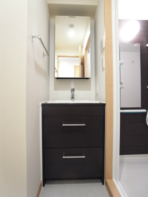 リブリ・両国 洗面