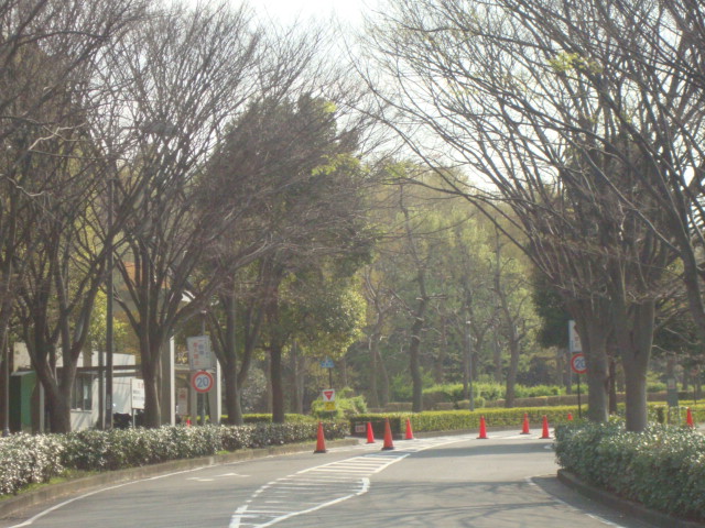 リバティふじＢ 慶應大学藤沢キャンパスまで300ｍ