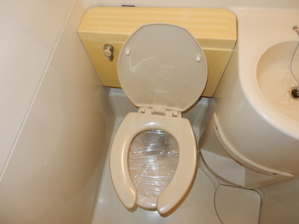 ユニバーサルハイツ101号室 同建物別部屋の参考画像