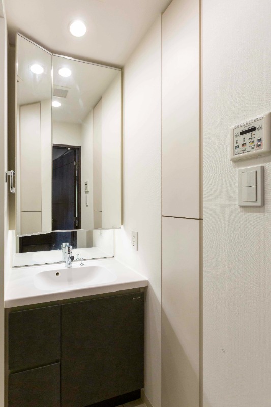 エルスタンザ平河町7階 洗面