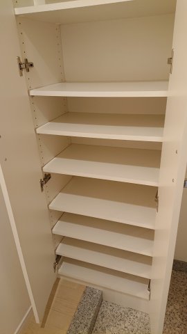 プライムアーバン豊洲433号室 収納