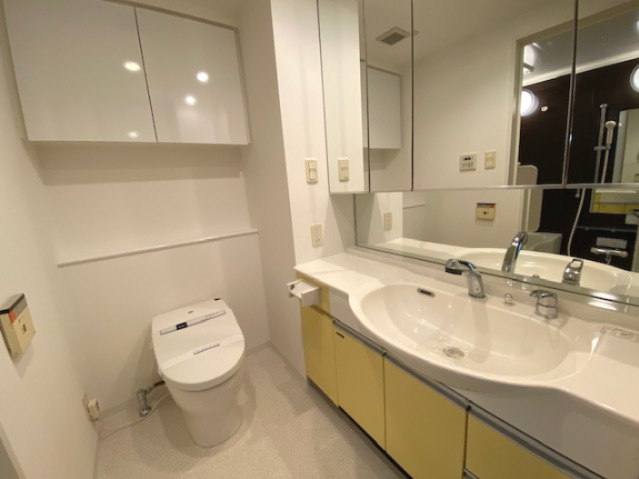 プライムアーバン日本橋横山町1008号室 洗面