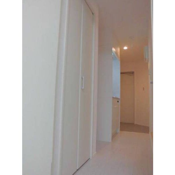 ラ・カンパネラ中央林間0102号室 部屋その他