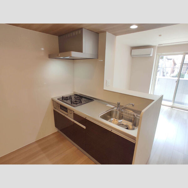 アンジュール多摩川202号室 キッチン