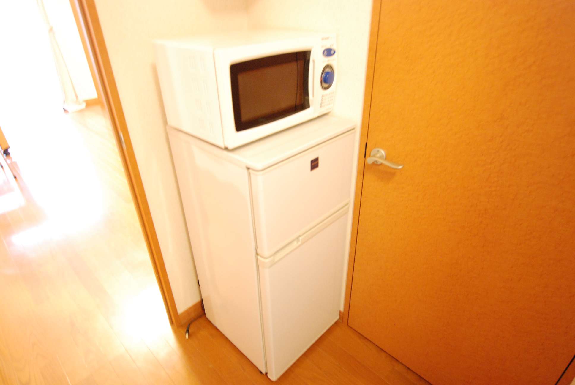 レオパレス狭山台Ⅱ104号室 洗濯機・電子レンジ