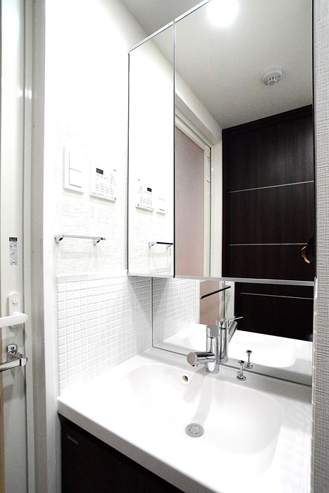 ステージグランデ向島6階 ※カラータイプは白です