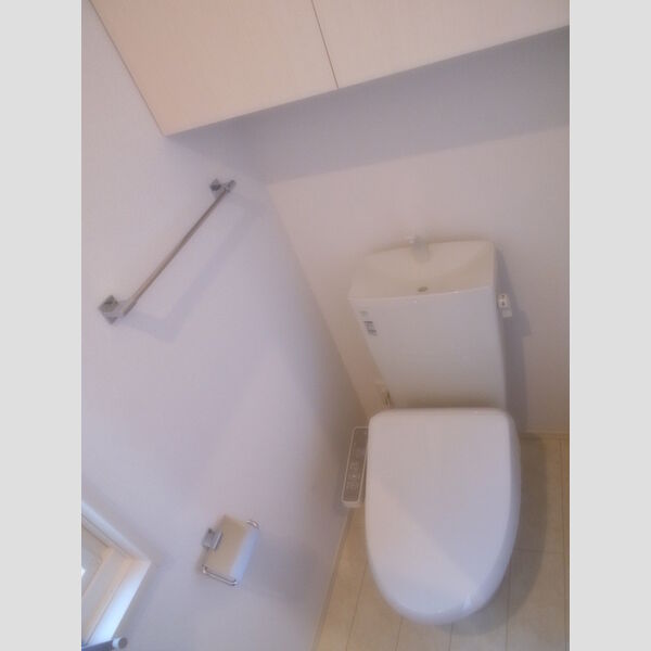 ルミニョンセパル　AA101号室 トイレ