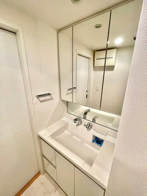 レジディア大森Ⅲ 洗面