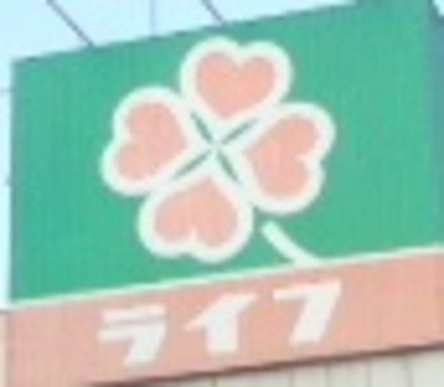 ルミネス赤塚0203号室 【デパート】ライフ赤塚店まで242ｍ