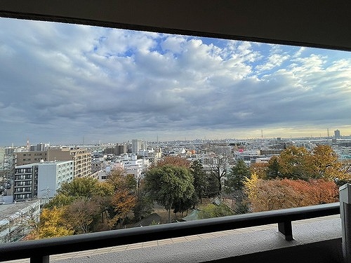ライオンズステーションプラザ南浦和11階 眺望