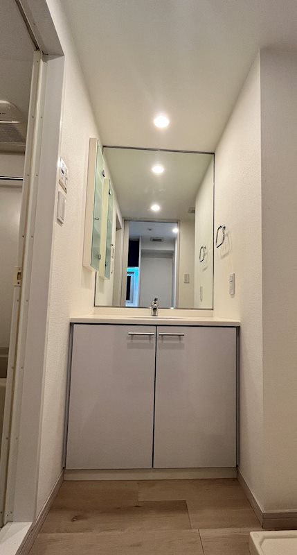 ステージグランデ新川 洗面