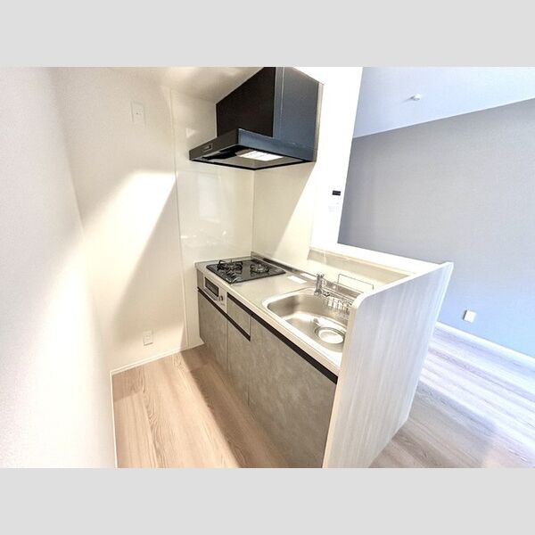 Kaijin-soⅡ システムキッチン