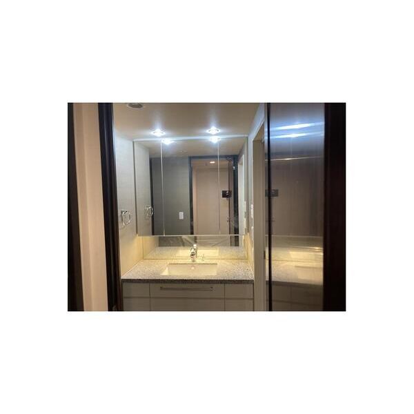 大崎ウエストシティタワーズE棟 洗面