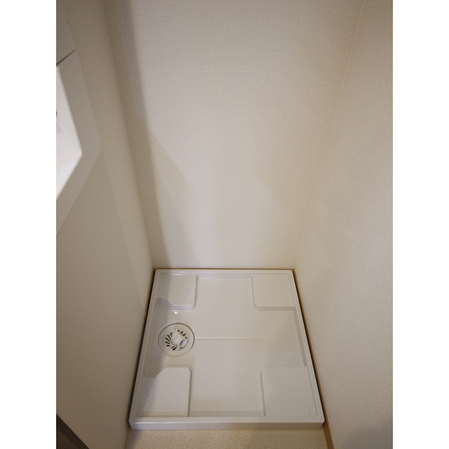 アムール Moon103号室 室内洗濯機置き場