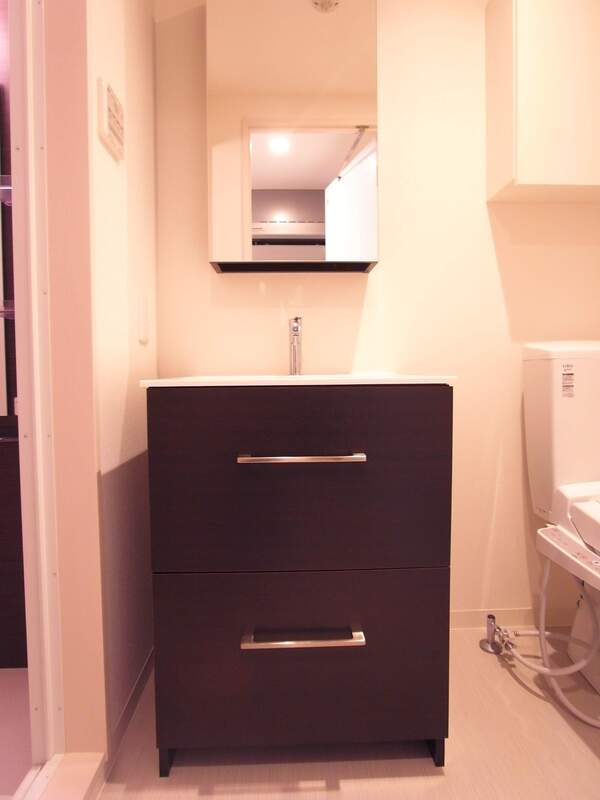 リブリ・東上野6階 洗面