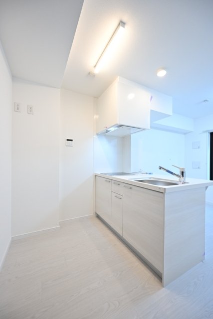 ＥＳ－Ｇｒａｎｄｅ東中野1階 キッチン