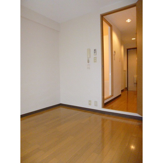 ＬＵＭＩＥＬＥ　Ｓ・ＫⅡ0304号室 洋室