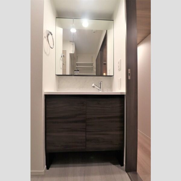 セレスティア高島平Ⅲ201号室 洗面化粧台