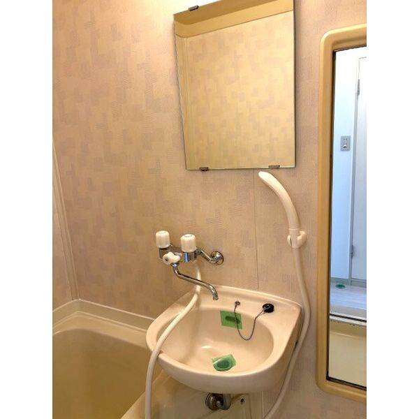 ジュネパレス松戸第1260202号室 洗面