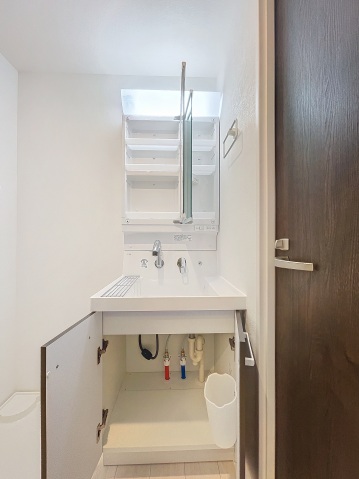 リブレスト篠崎203号室 洗面