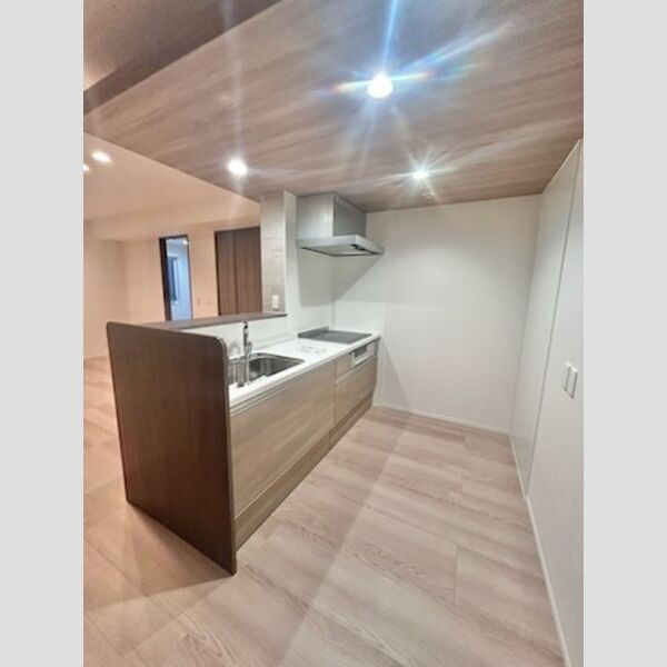 センカⅢ302号室 システムキッチン