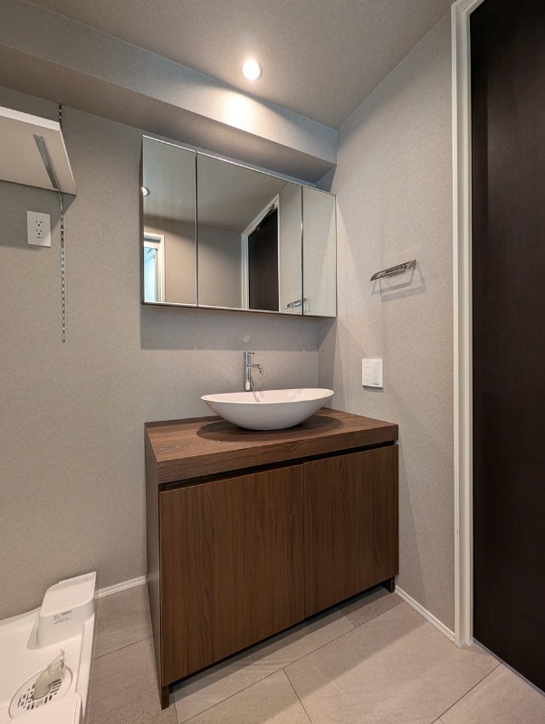 レジディア南雪谷2階 洗面