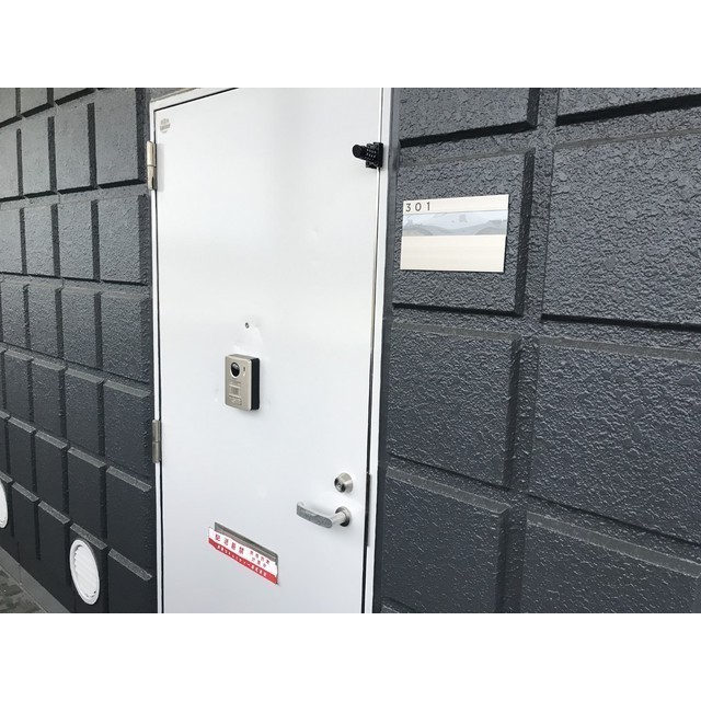 リエス伊勢原301号室 玄関