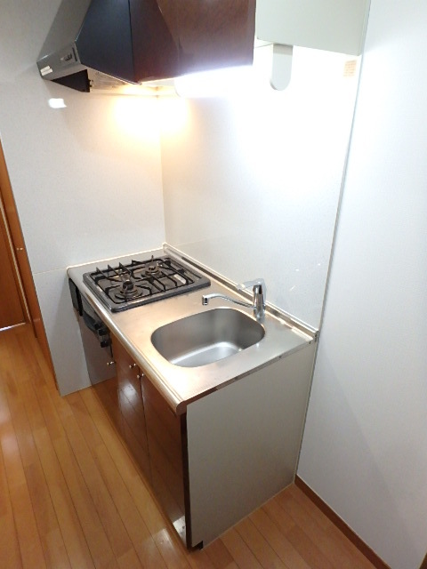 グランド・ガーラ西新宿East キッチンです