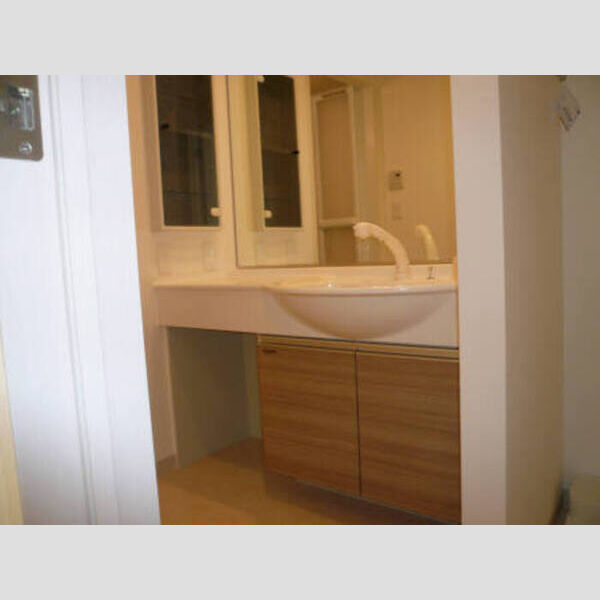 ティアレット402号室 洗面