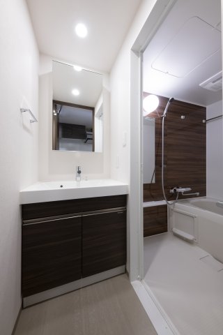 リビオメゾン南砂町1103号室 洗面