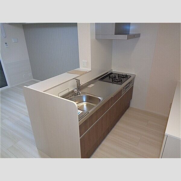 メゾンクオーレⅢ システムキッチン