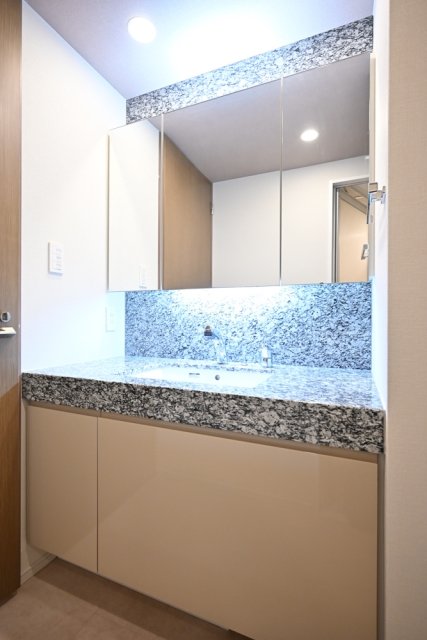 グランスイート神楽坂ピアース　ノースヒルズ 洗面