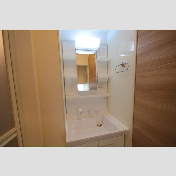 リビングヴィレッジ新柴又206号室 洗面
