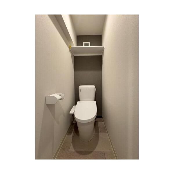 VISTA　HONANCHO202号室 トイレ