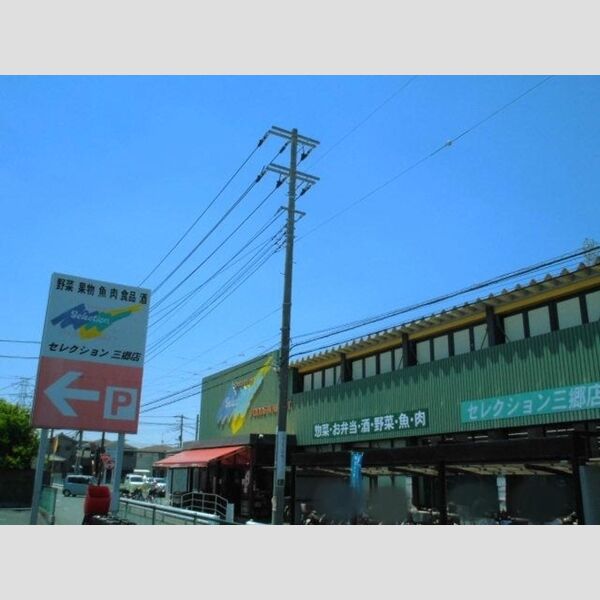 ハーヴェスト東町 FOODS MARKET Selection 三郷店(702m)