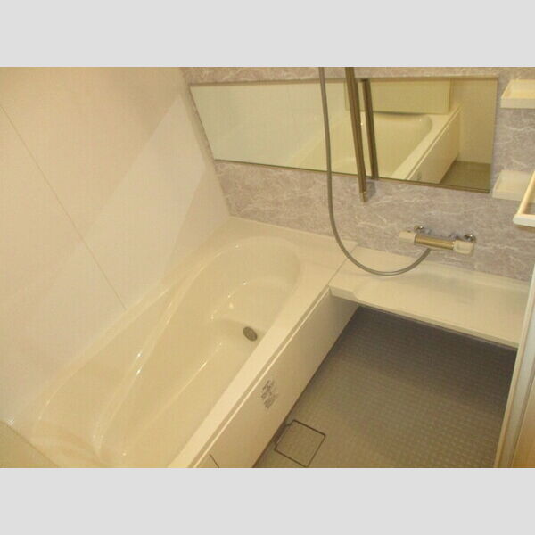 グレイスコート 103(浴室)